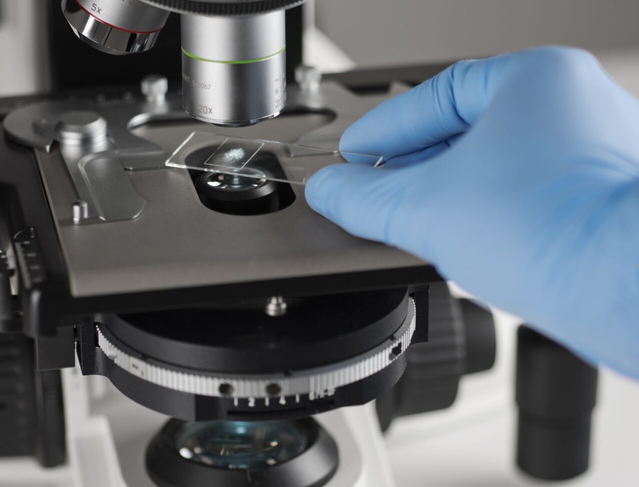 Forensic Scientist Analysing Trace Evidence