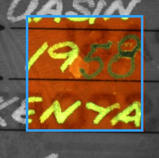 Shining a Light on Wildlife Forensics: Unveiling the Secrets of Wildlife Crime