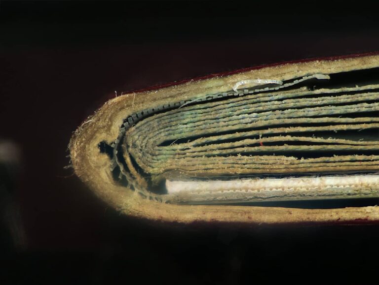 Breaching Borders: VSC Technology to Unveil the Deception of Page Substitution in Passport Fraud Copy